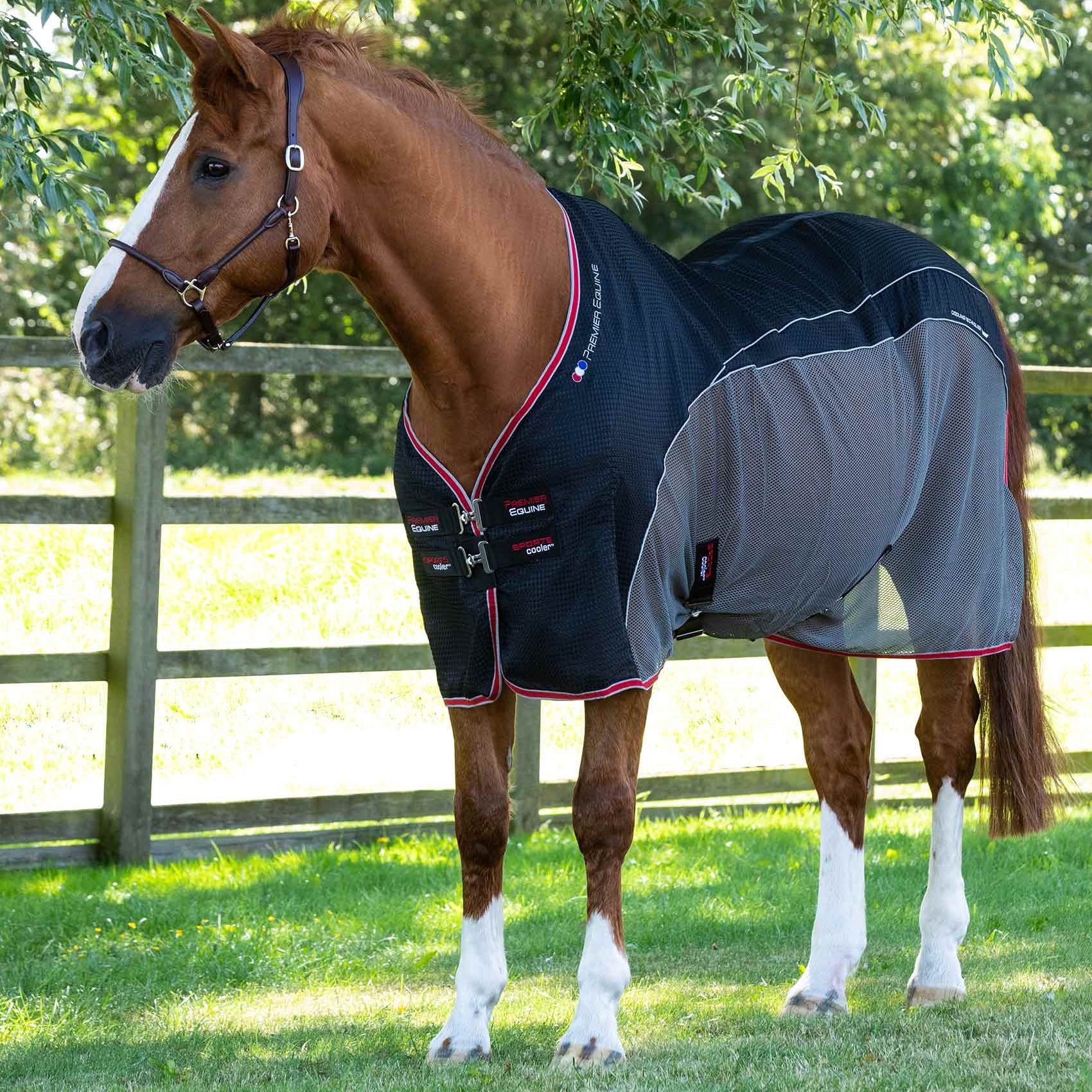 Premier Equine Black Sports Cooler Rug for Horses | Equine Cooling Blanket