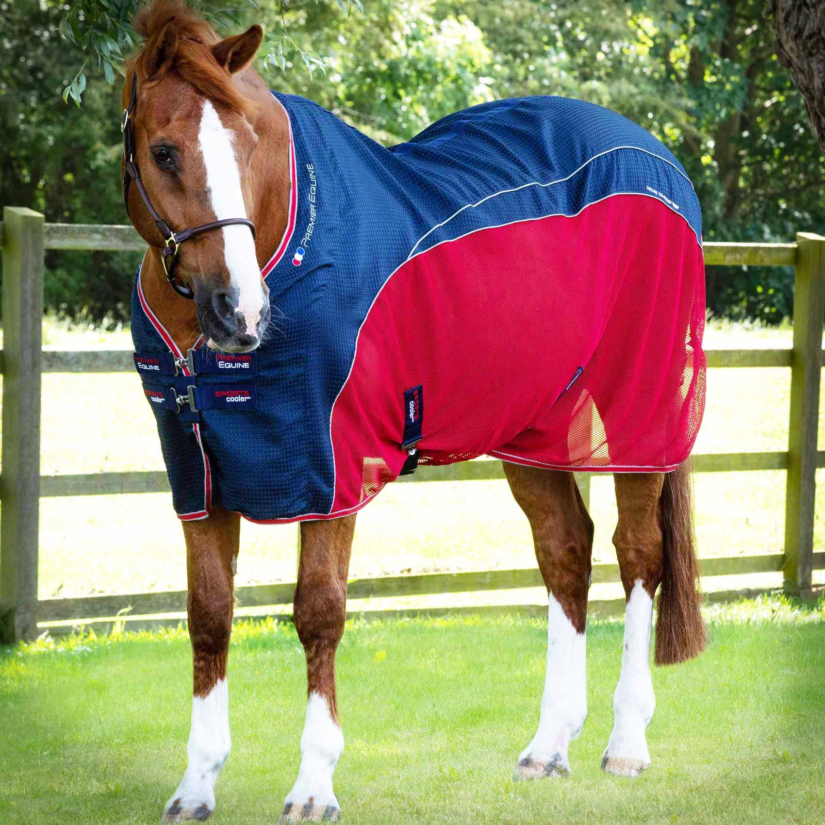 Premier Equine Sports Cooler Rug - Horse Blanket, Navy & Red Mesh Design