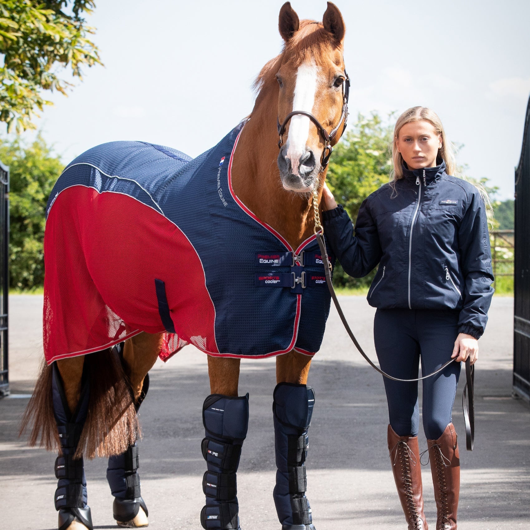 Premier Equine Sports Cooler Rug on Horse with Rider. Equestrian Fashion. Protective Horse Gear. Navy and Red Horse Rug.