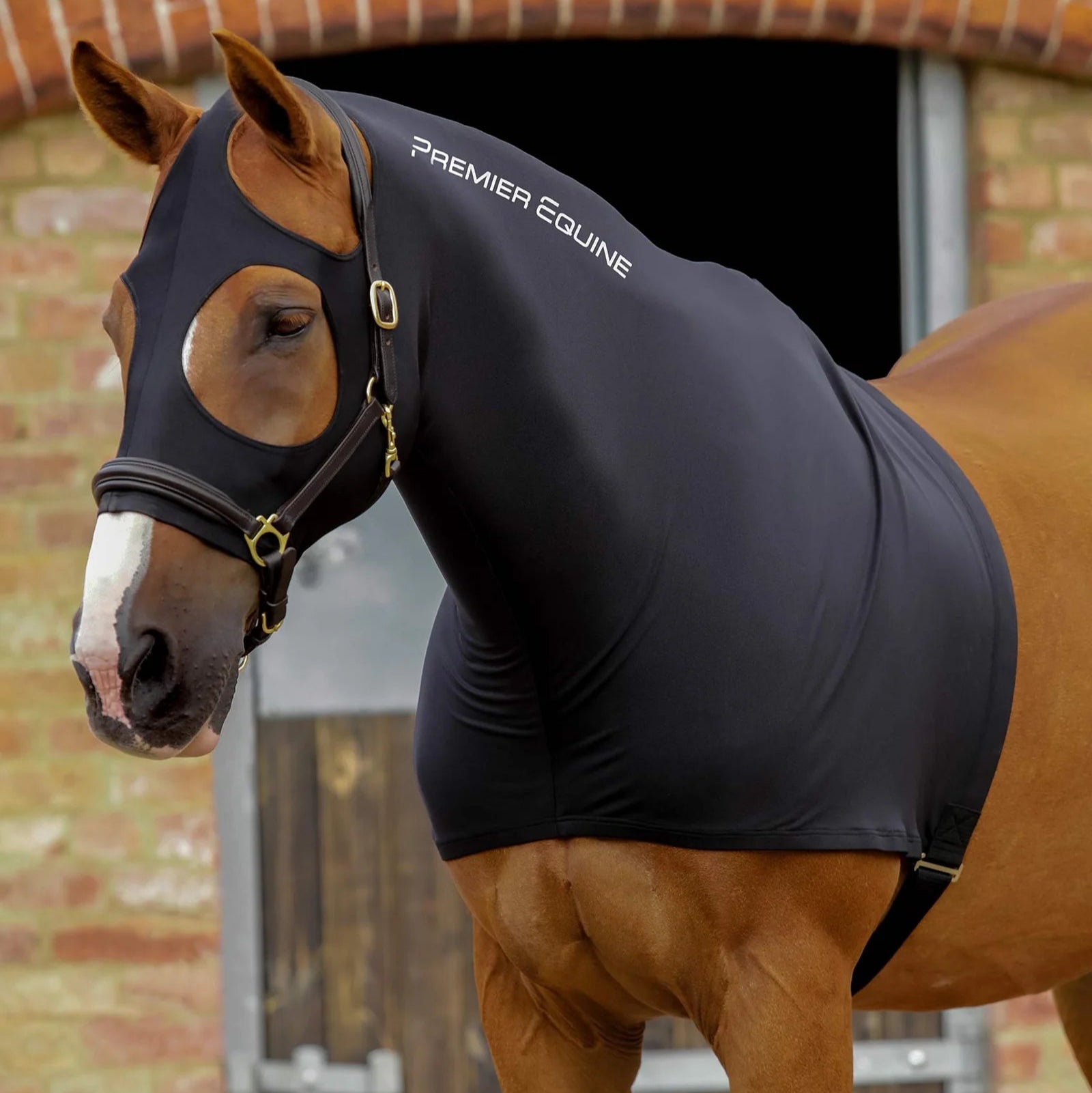 Premier Equine Lycra Hood Black - Horse Show Grooming Hood for Clean Mane
