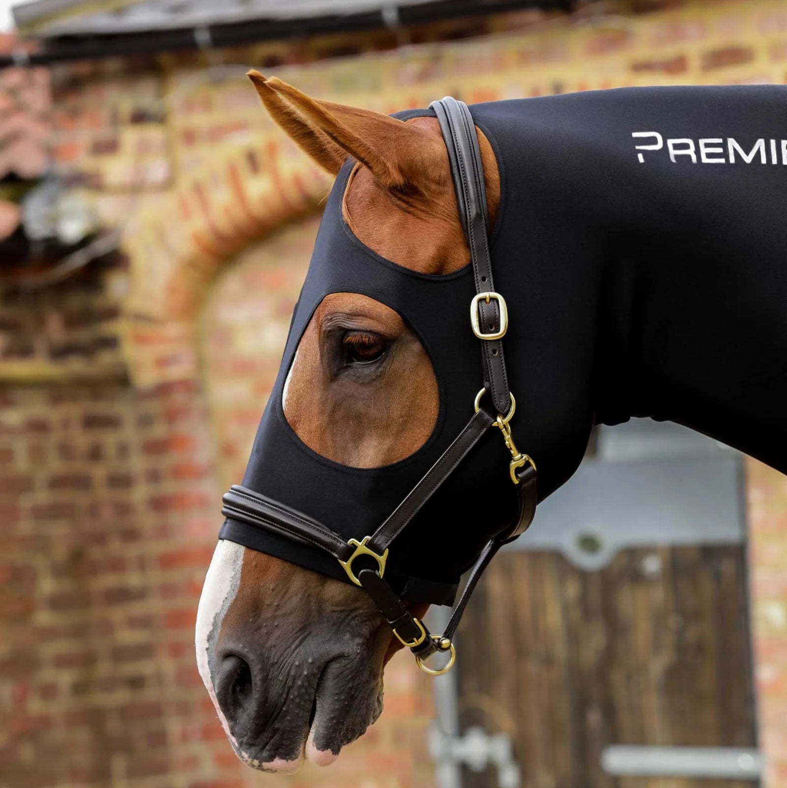 Black Lycra Horse Hood - Premier Equine Headcover for Grooming & Mane Protection | Equiflair