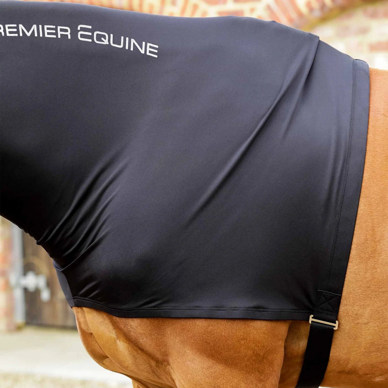 Premier Equine Black Lycra Hood for Horses - Stable & Show Prep