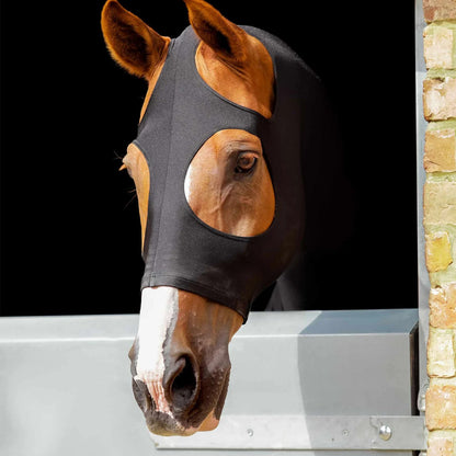 Horse in Premier Equine Lycra Hood - Stable Gear for Show Prep & Coat Protection