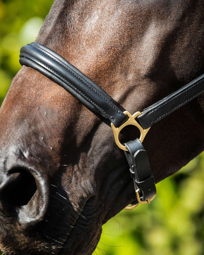 Horse Wearing Black Padded Leather Head Collar: Comfortable Equine Halter