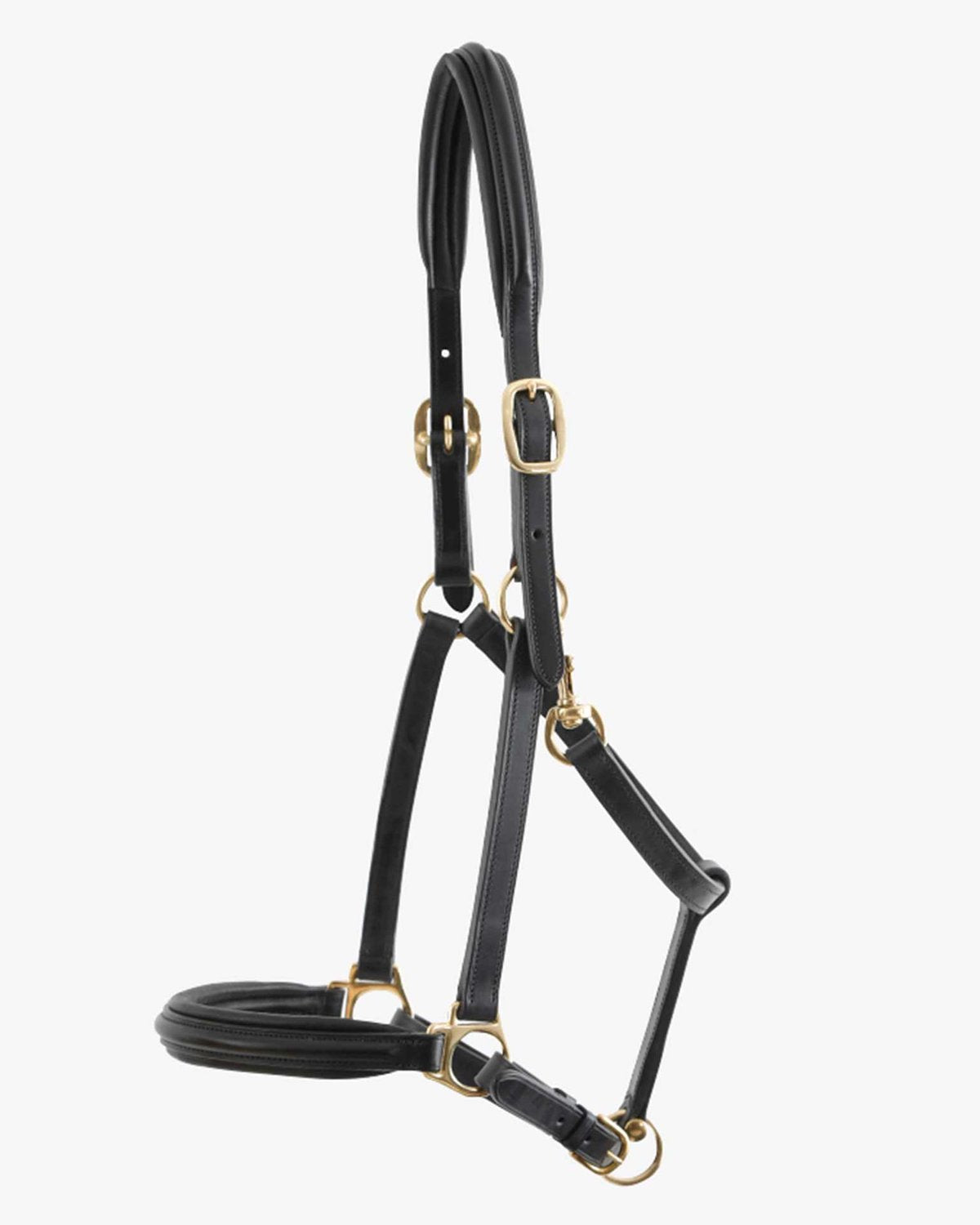 Premier Equine Rego Padded Leather Head Collar Black