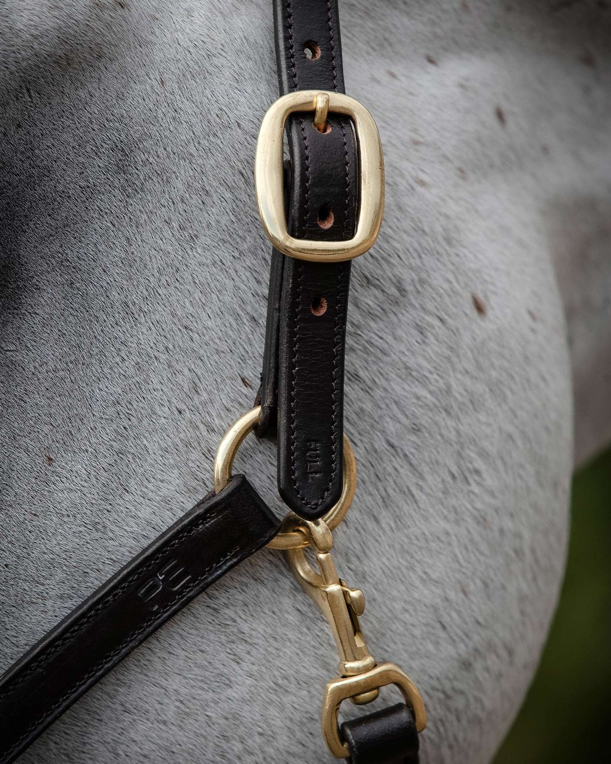 Premier Equine Rego Padded Leather Head Collar Brown