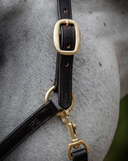 Premier Equine Rego Leather Headcollar Brown Padded Brass Buckles Horse Halter
