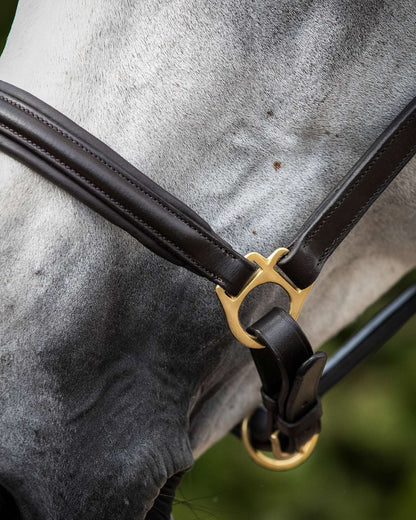 PREMIER EQUINE Leather Head Collar: Padded, Brown. Close up of Horse Head Collar.