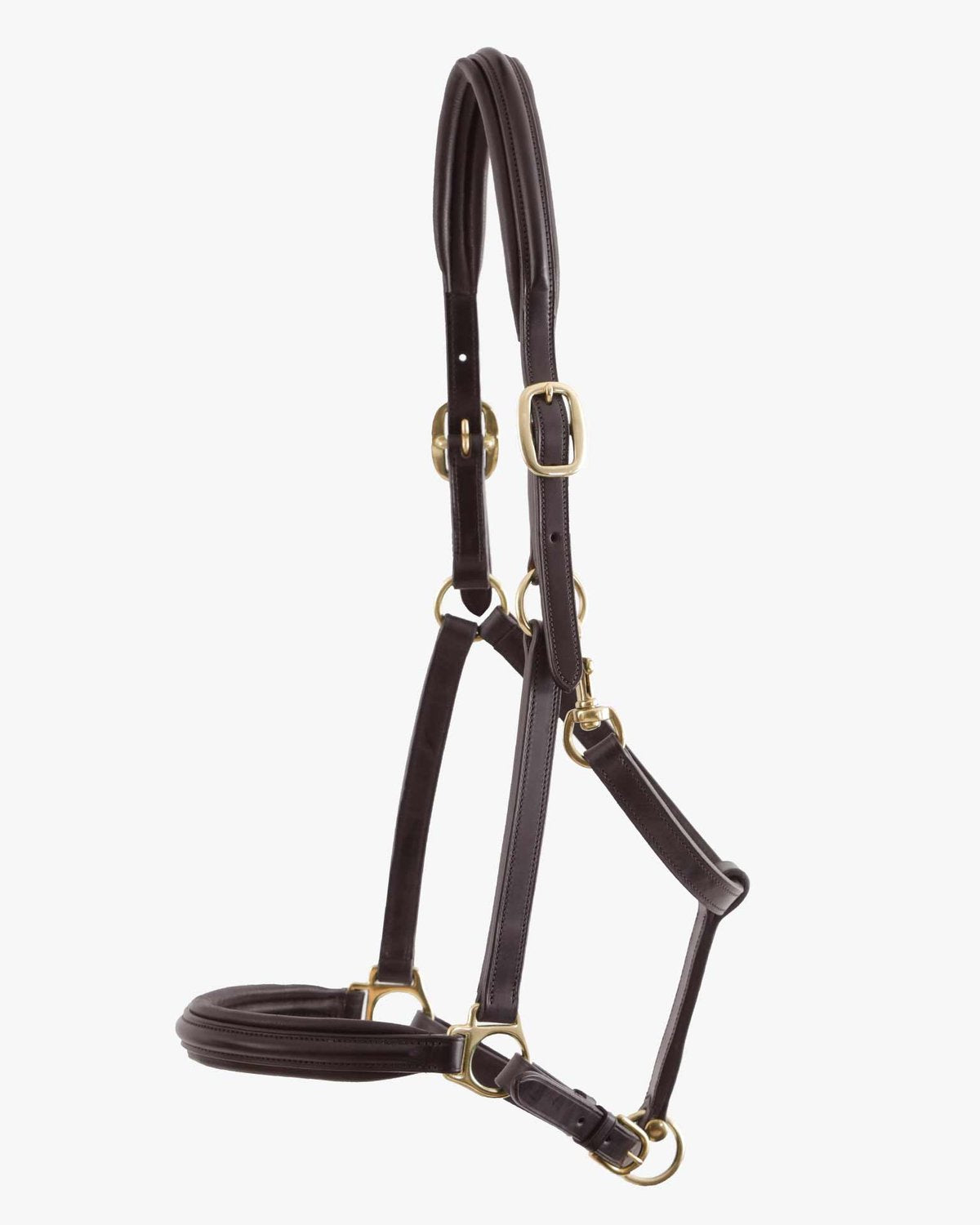 Premier Equine Rego Padded Leather Head Collar Brown