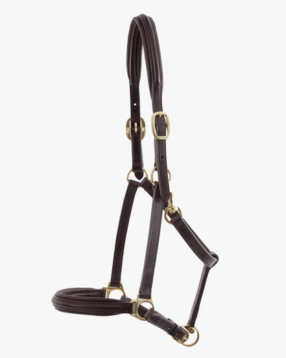 PREMIER EQUINE Padded Leather Head Collar - Brown | Equiflair