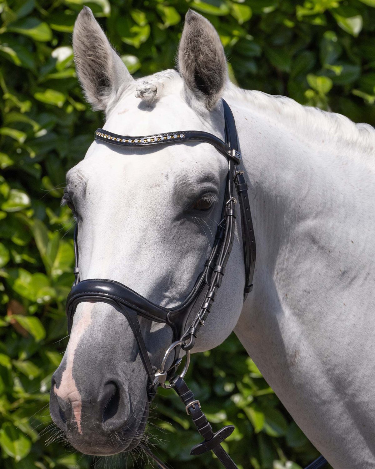 PREMIER EQUINE PALAZZO Anatomical Bridle Black - Italian Leather Diamanté Browband - Equiflair