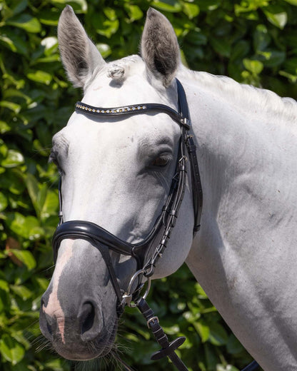 PREMIER EQUINE PALAZZO Anatomical Bridle Black - Italian Leather Diamanté Browband - Equiflair