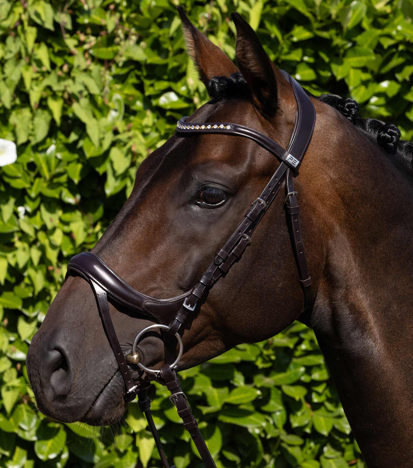 PREMIER EQUINE PALAZZO Anatomical Bridle - Brown Leather Horse Bridle with Diamante Browband - Comfortable & Stylish Equestrian Gear