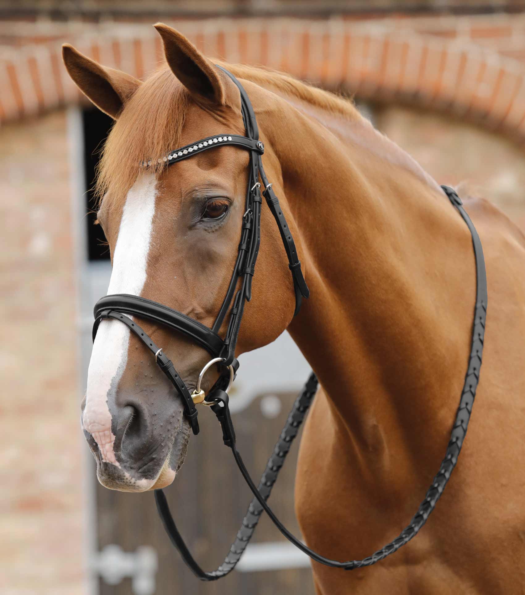 Premier Equine Pietro Laced Reins Black Black