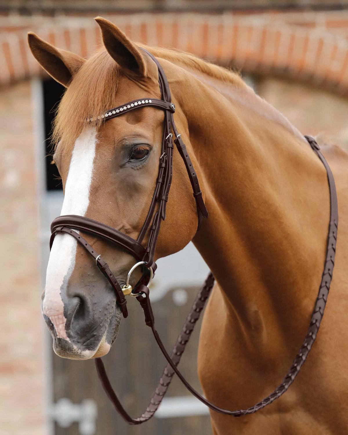 Premier Equine Pietro Laced Reins Brown Brown