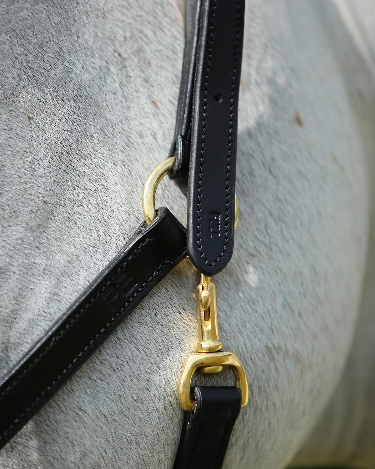 Premier Equine Pasco Plain Leather Head Collar Black