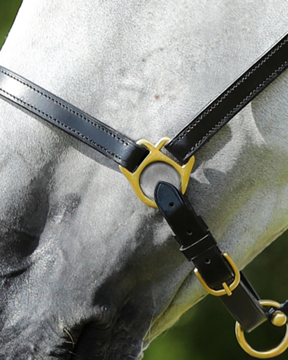 Premier Equine Pasco Plain Leather Head Collar Black