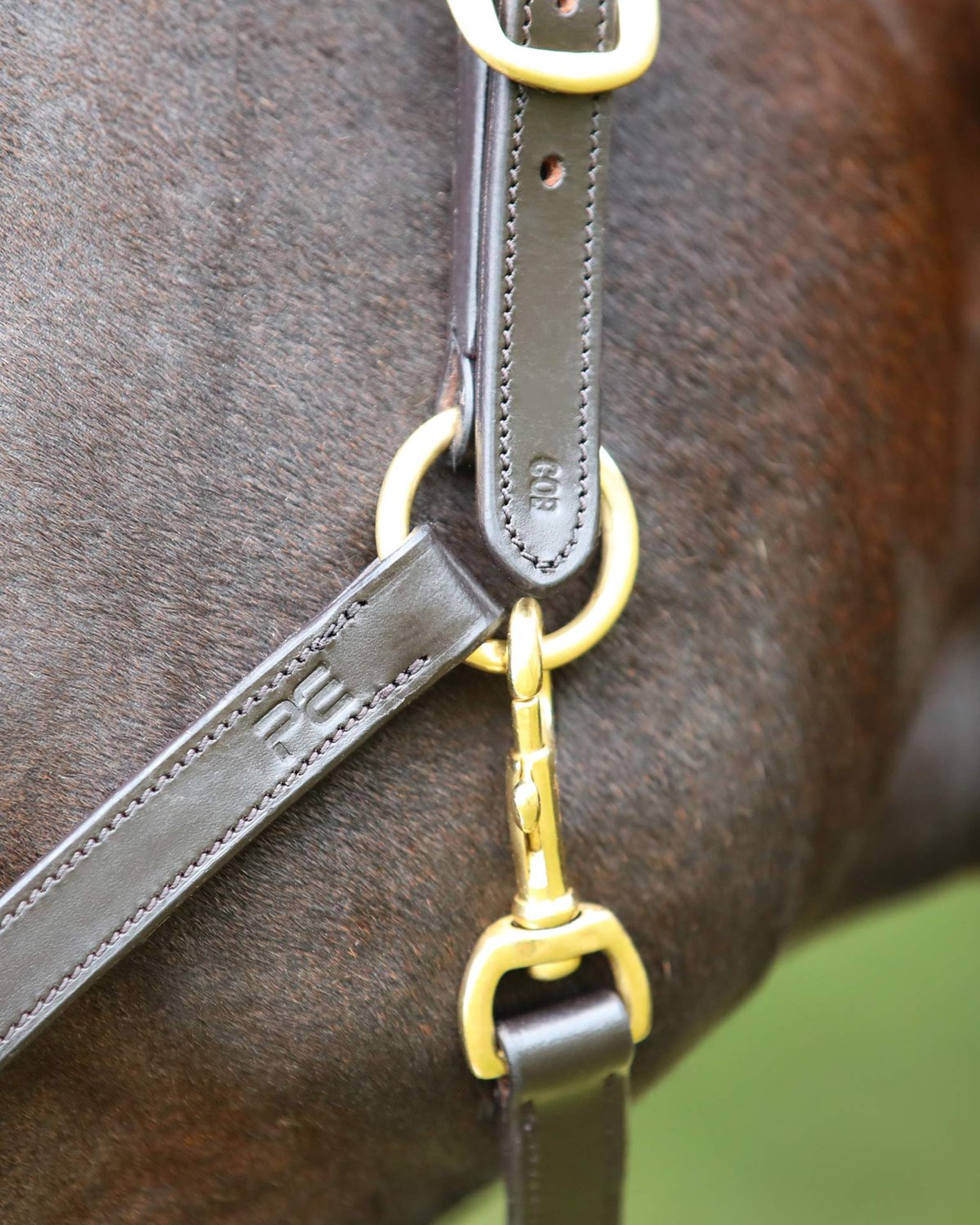Premier Equine Pasco Plain Leather Head Collar Brown