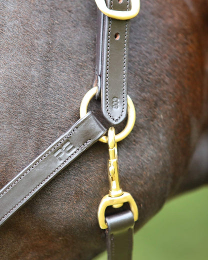 PREMIER EQUINE Pasco Brown Leather Head Collar for Horses - Premium Quality, Adjustable