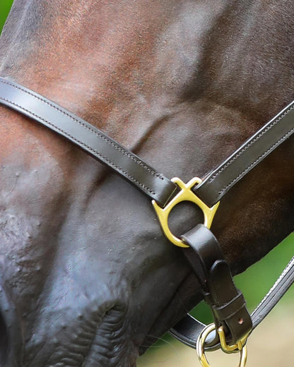 Horse Head in Brown Leather Head Collar - PREMIER EQUINE PASCO Plain