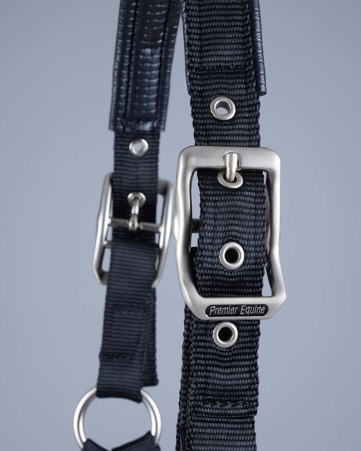 Premier Equine Plain Padded Horse Head Collar Black