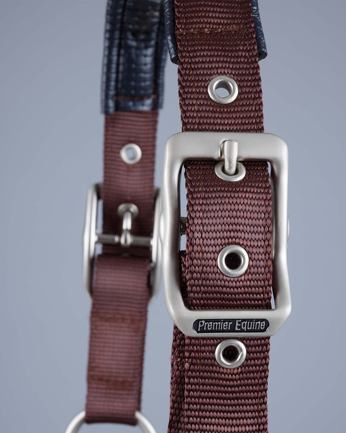 Premier Equine Brown Padded Horse Headcollar: Adjustable, Comfortable Equestrian Equipment