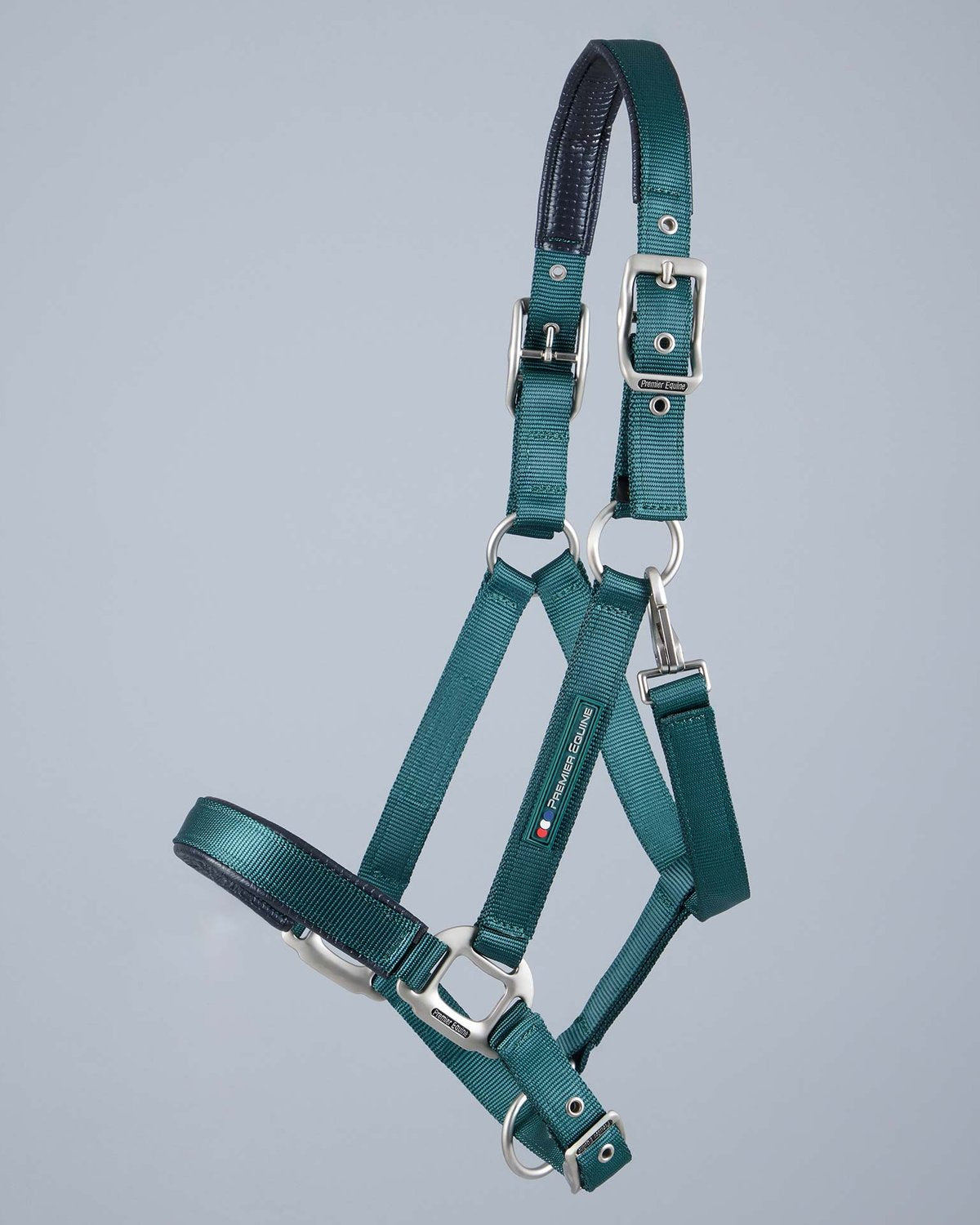 Premier Equine Green Padded Horse Halter. Adjustable Head Collar with Strong Webbing. Equestrian Equipment