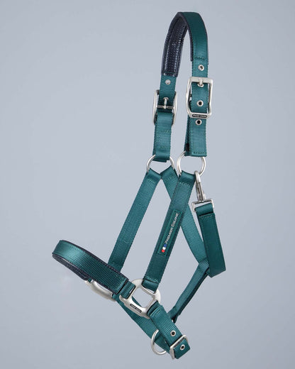 Premier Equine Green Padded Horse Halter. Adjustable Head Collar with Strong Webbing. Equestrian Equipment