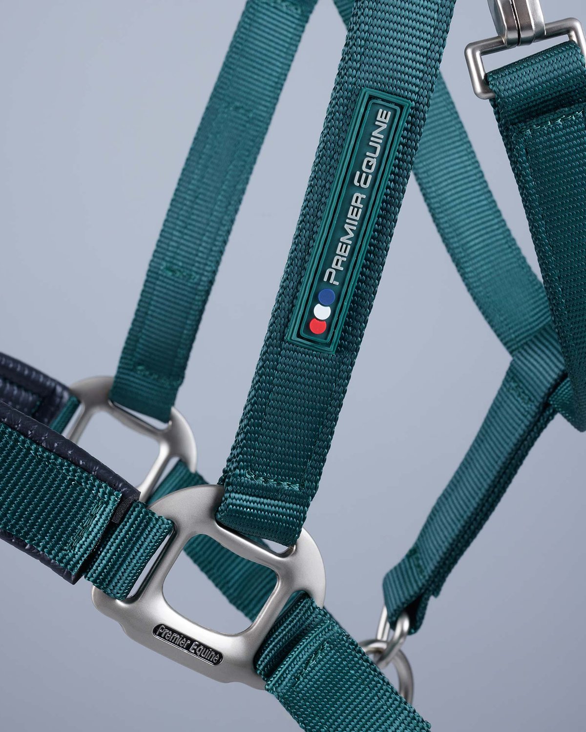 PREMIER EQUINE Green Padded Horse Head Collar | Adjustable & Comfortable | Equiflair
