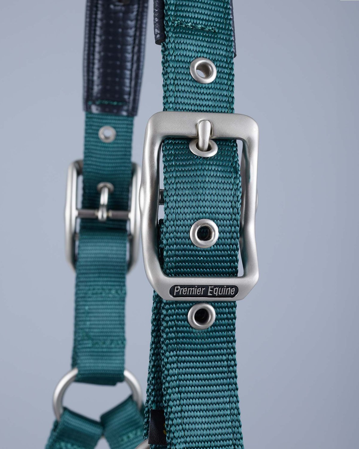 Premier Equine Plain Padded Horse Head Collar Green