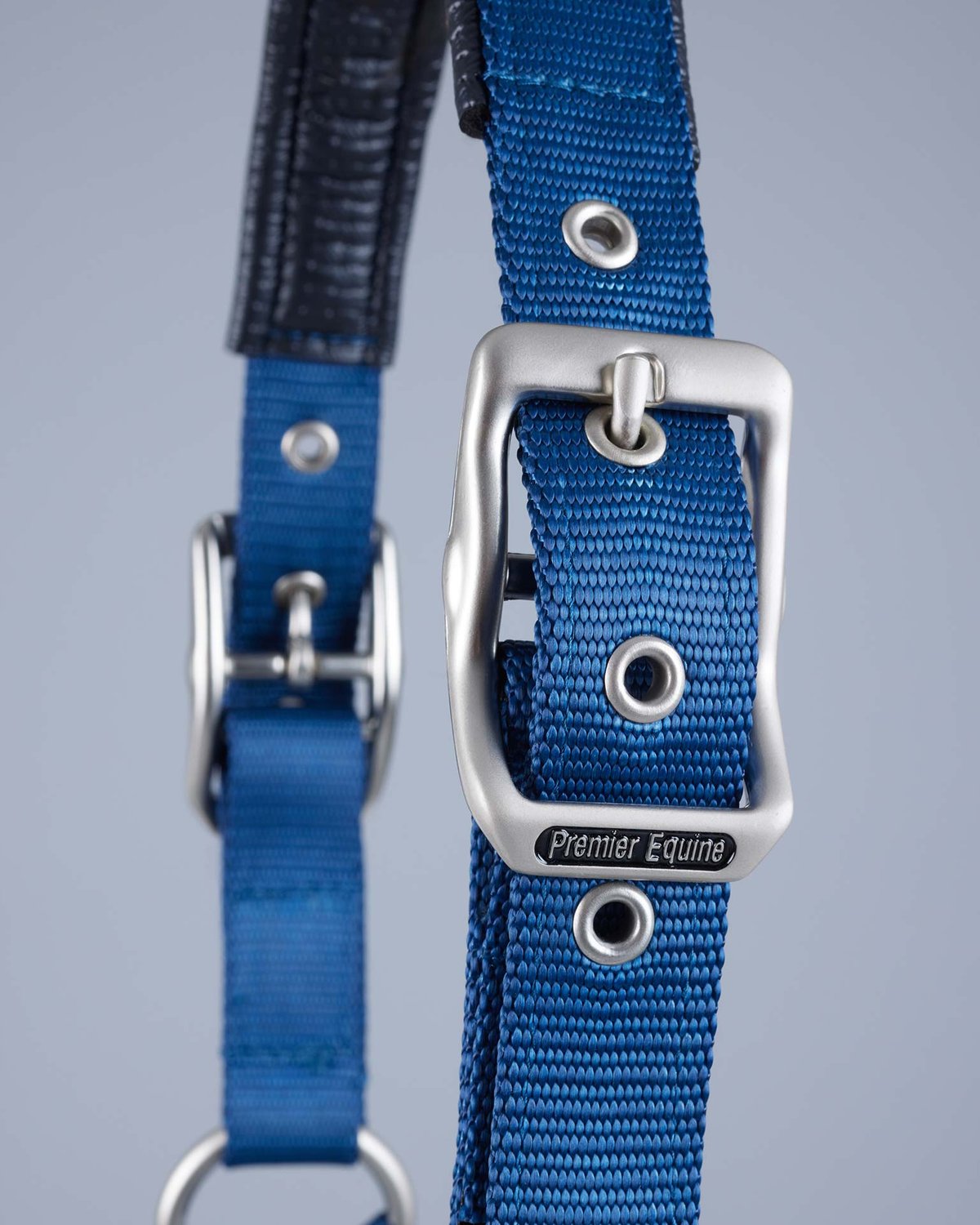Premier Equine Plain Padded Horse Head Collar Navy