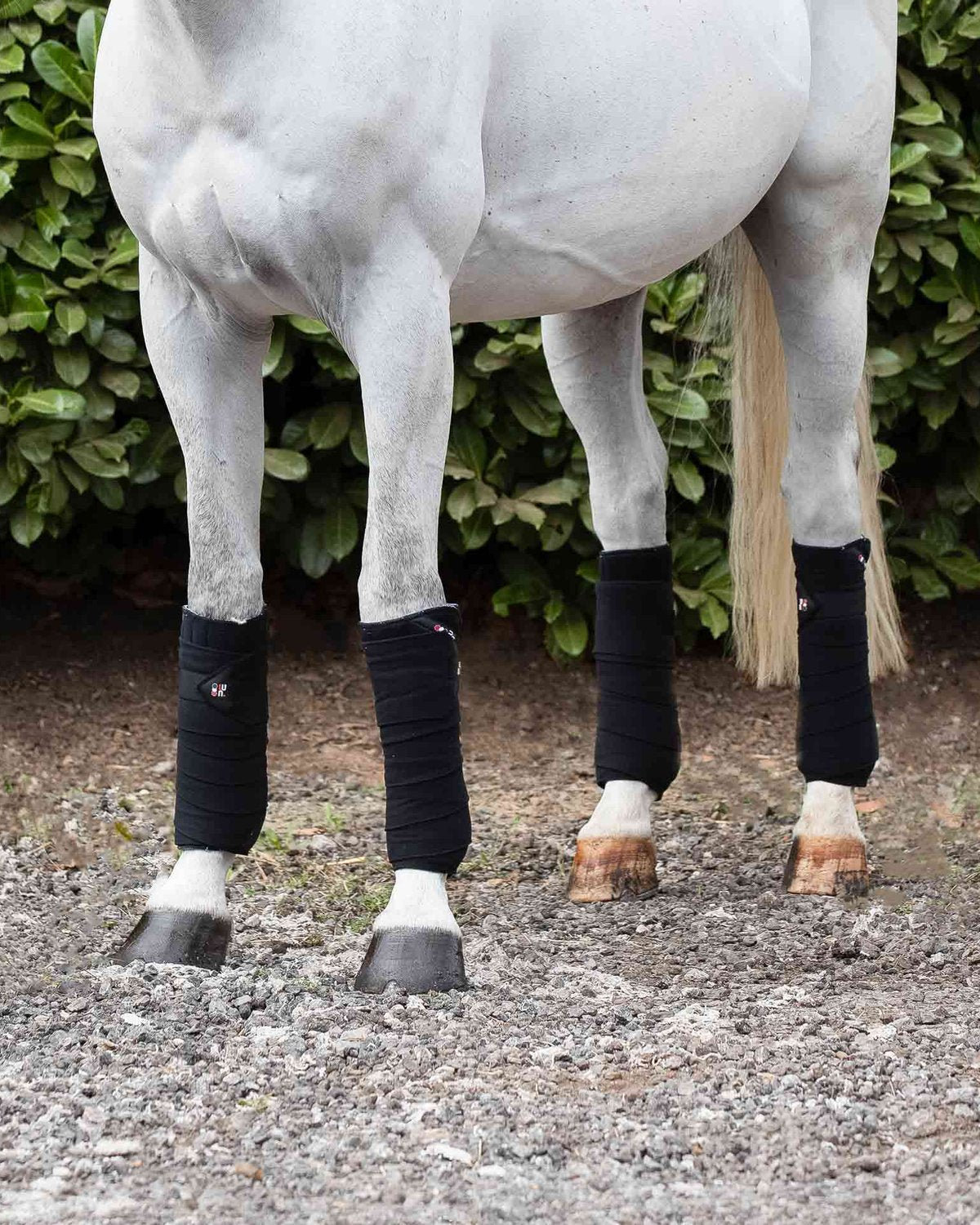 Horse with Premier Equine Black Polo Fleece Bandages. Horse leg protection, support, and high-quality leg wraps for horses