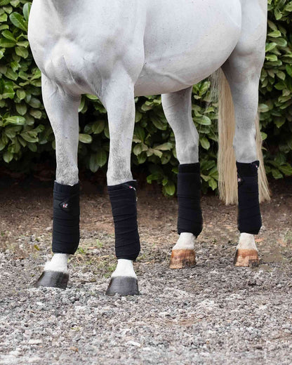 Horse with Premier Equine Black Polo Fleece Bandages. Horse leg protection, support, and high-quality leg wraps for horses
