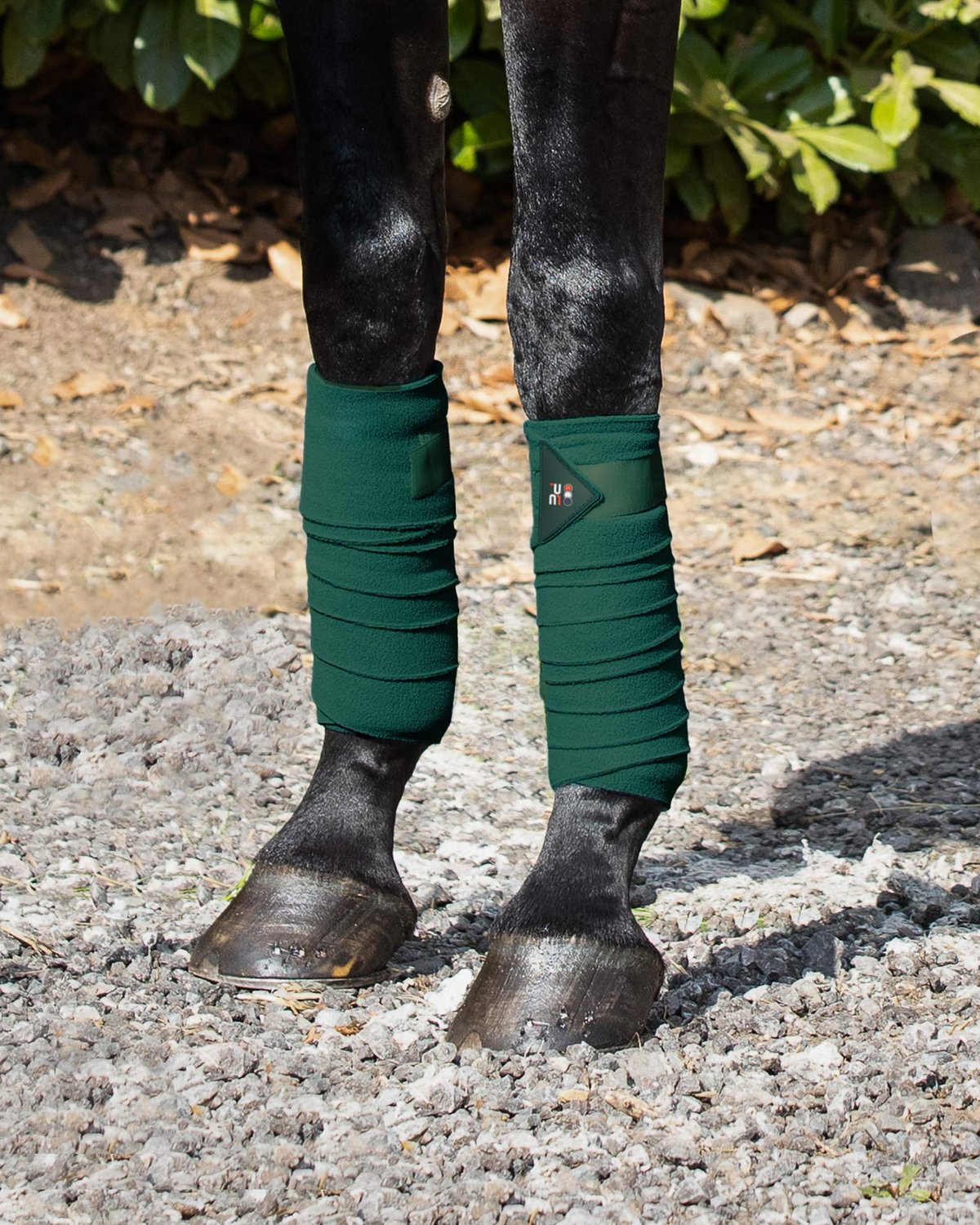 Premier Equine Horse Polo Fleece Bandages Green - Equestrian Leg Protection