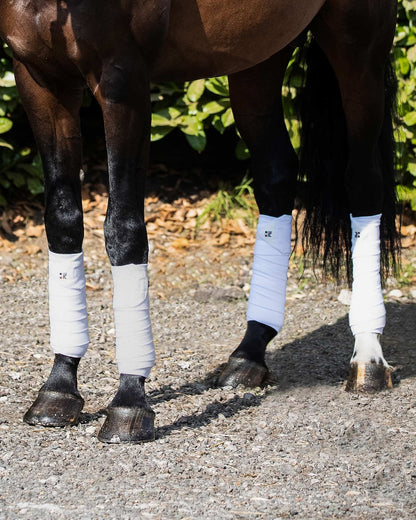 Horse legs wrapped in white Premier Equine polo fleece bandages for equine leg support and protection.