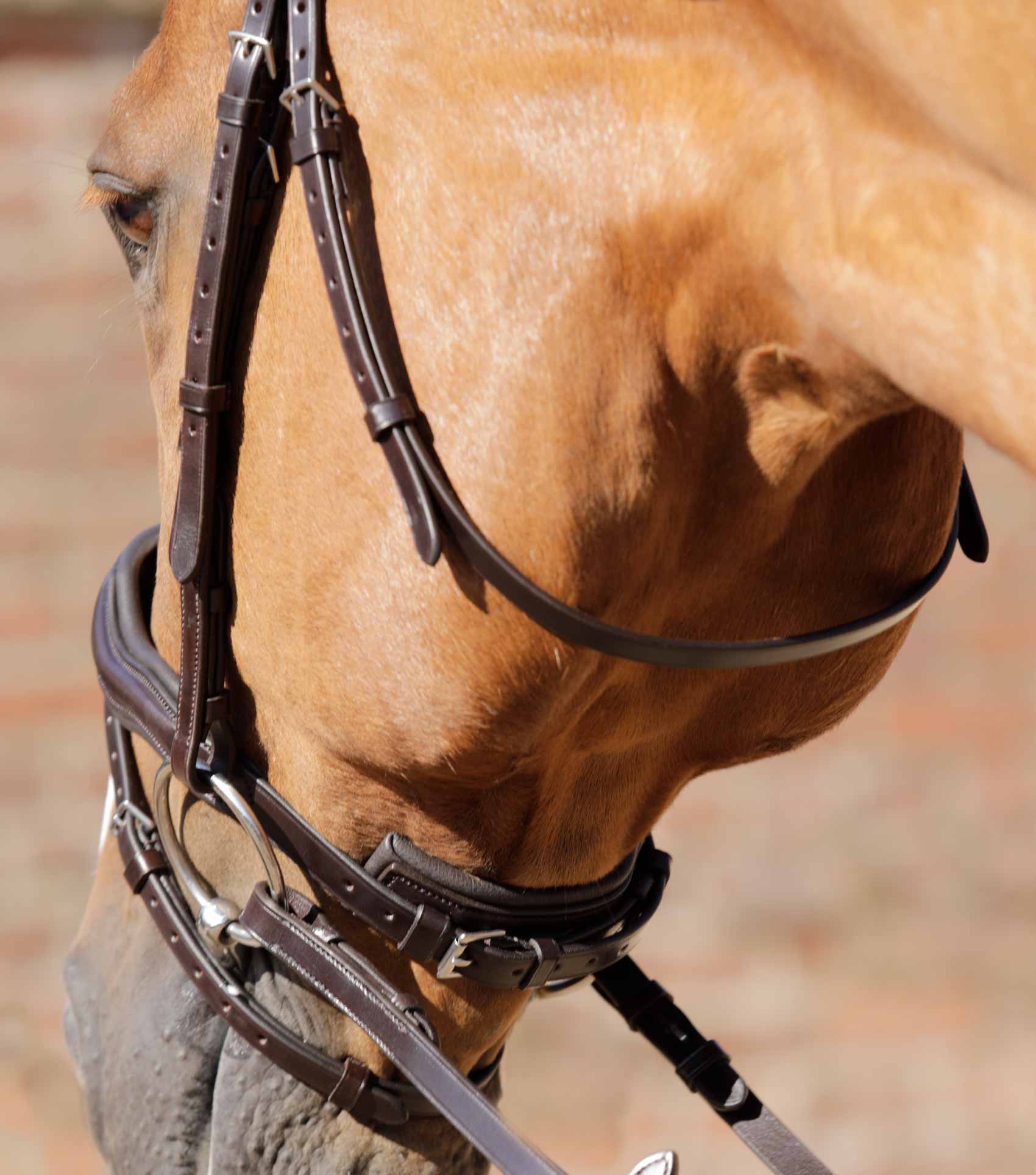 PREMIER EQUINE THROATLASH BROWN: Italian Leather Horse Bridle Throat Latch with Stainless Steel Buckles