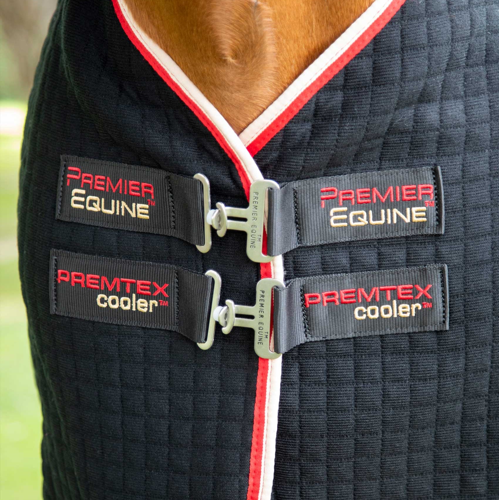 Premier Equine Premtex Cooler Horse Rug Black: Breathable & Wickable Horse Wear | Equiflair