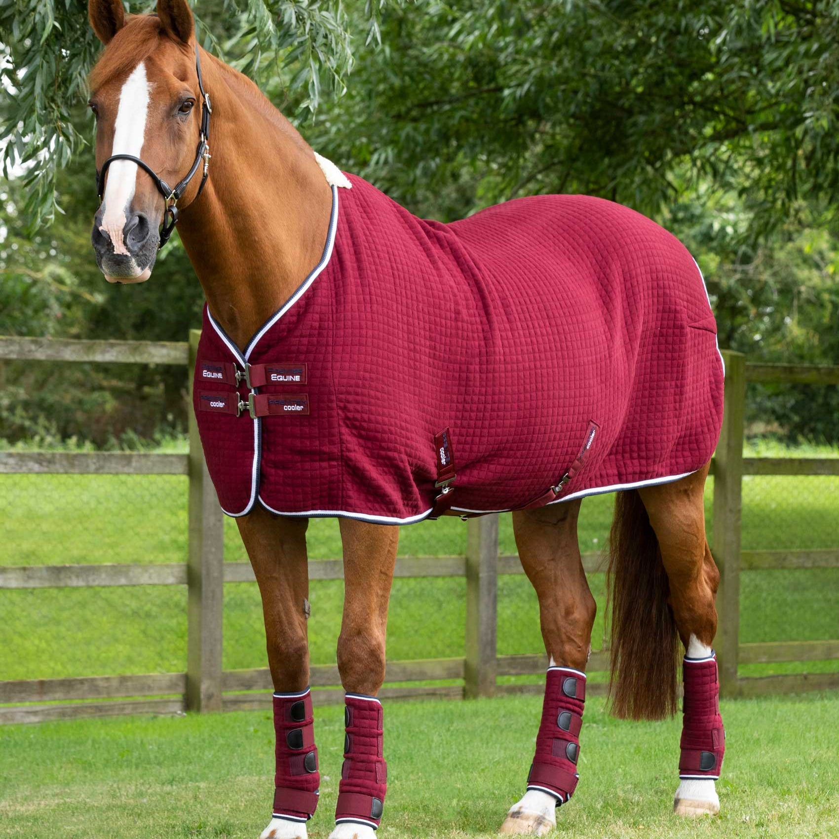 Premier Equine Premtex Horse Cooler Rug Burgundy - Equine Cooling Blanket