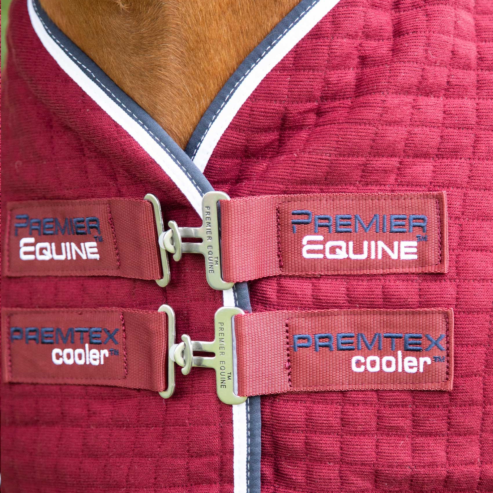 PREMIER EQUINE Premtex Cooler Rug Burgundy - Close-up view of buckles and brand logos on a Horse Winter Rug