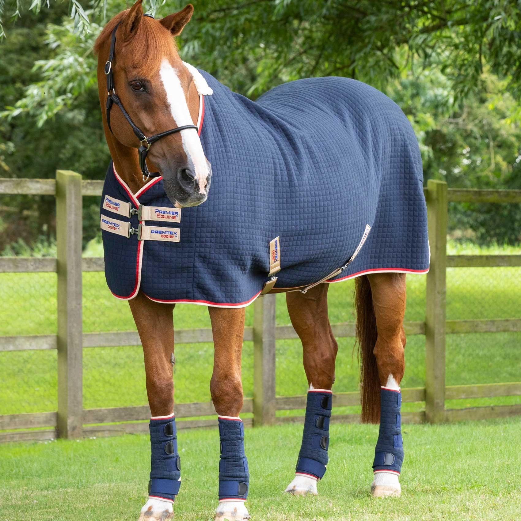PREMIER EQUINE PREMTEX HORSE COOLER RUG NAVY: High-tech cooling blanket for horses, ideal travel wear & after exercise. Equiflair.