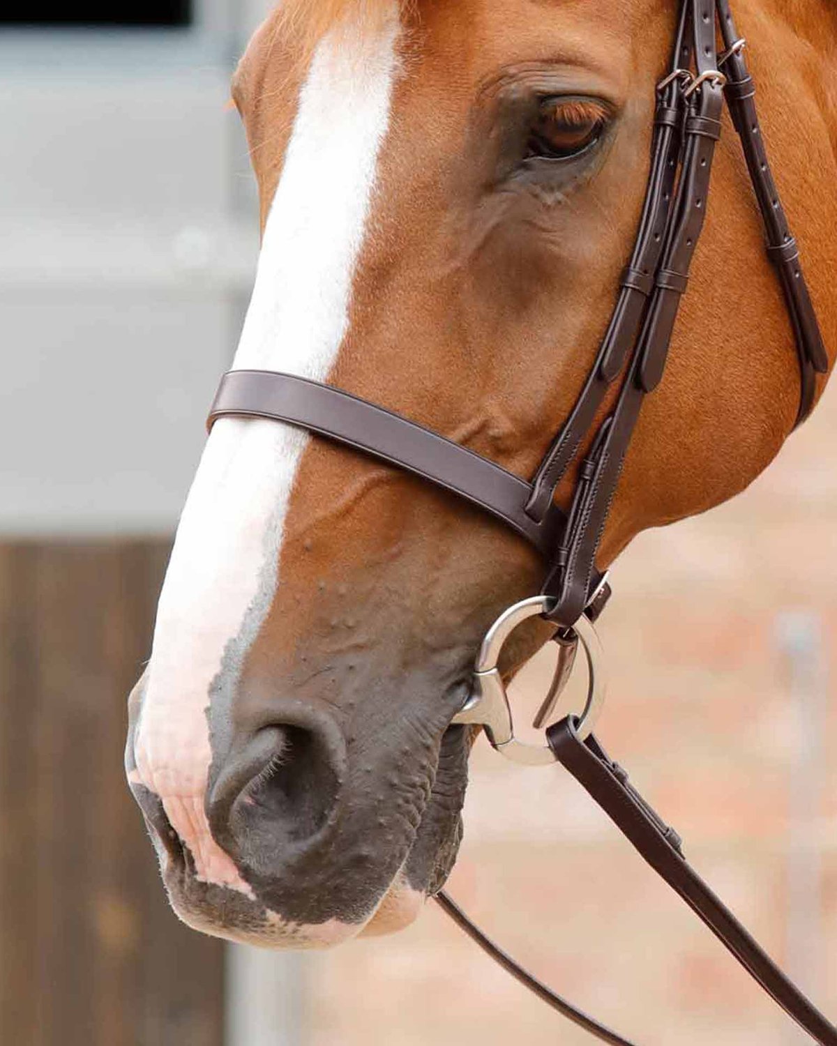 Premier Equine Primo Hunter Cavesson Noseband Brown - Italian Leather Horse Tack Show Quality