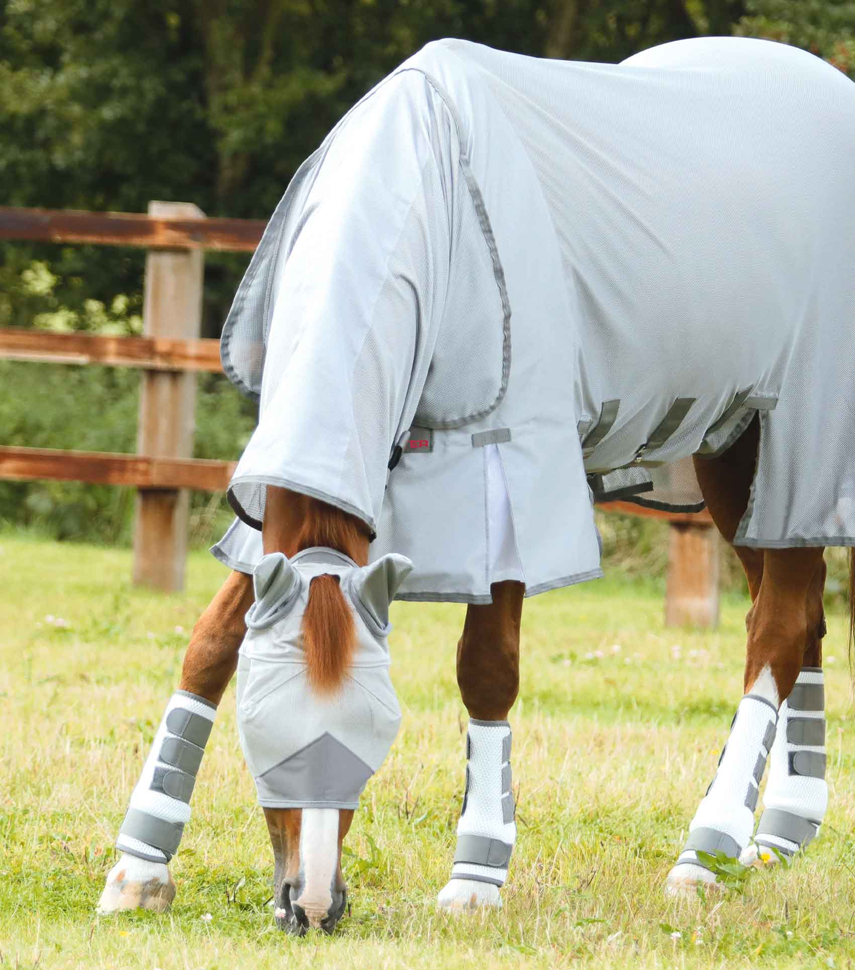 Horse Fly Boots: Premier Equine Pro-Tech Bug Boots - White - Equiflair - Insect & Fly Protection