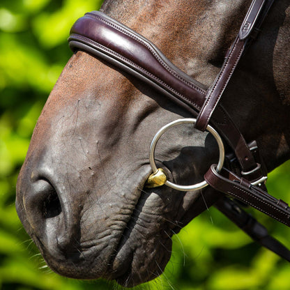 Premier Equine brown leather horse bridle with anatomical snaffle noseband and padded poll piece. Comfortable equestrian equipment.