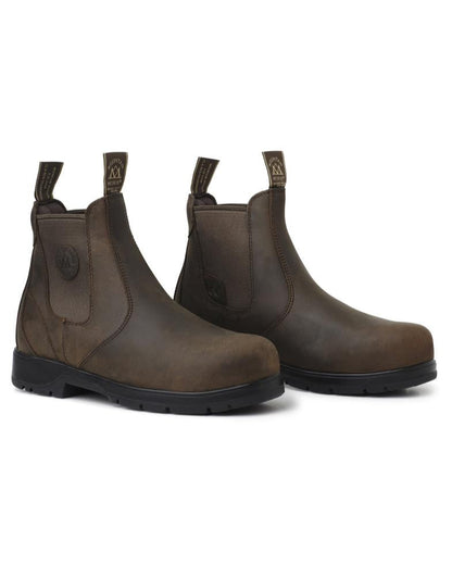Mountain Horse Protective Jodphur XTR Lite Brown