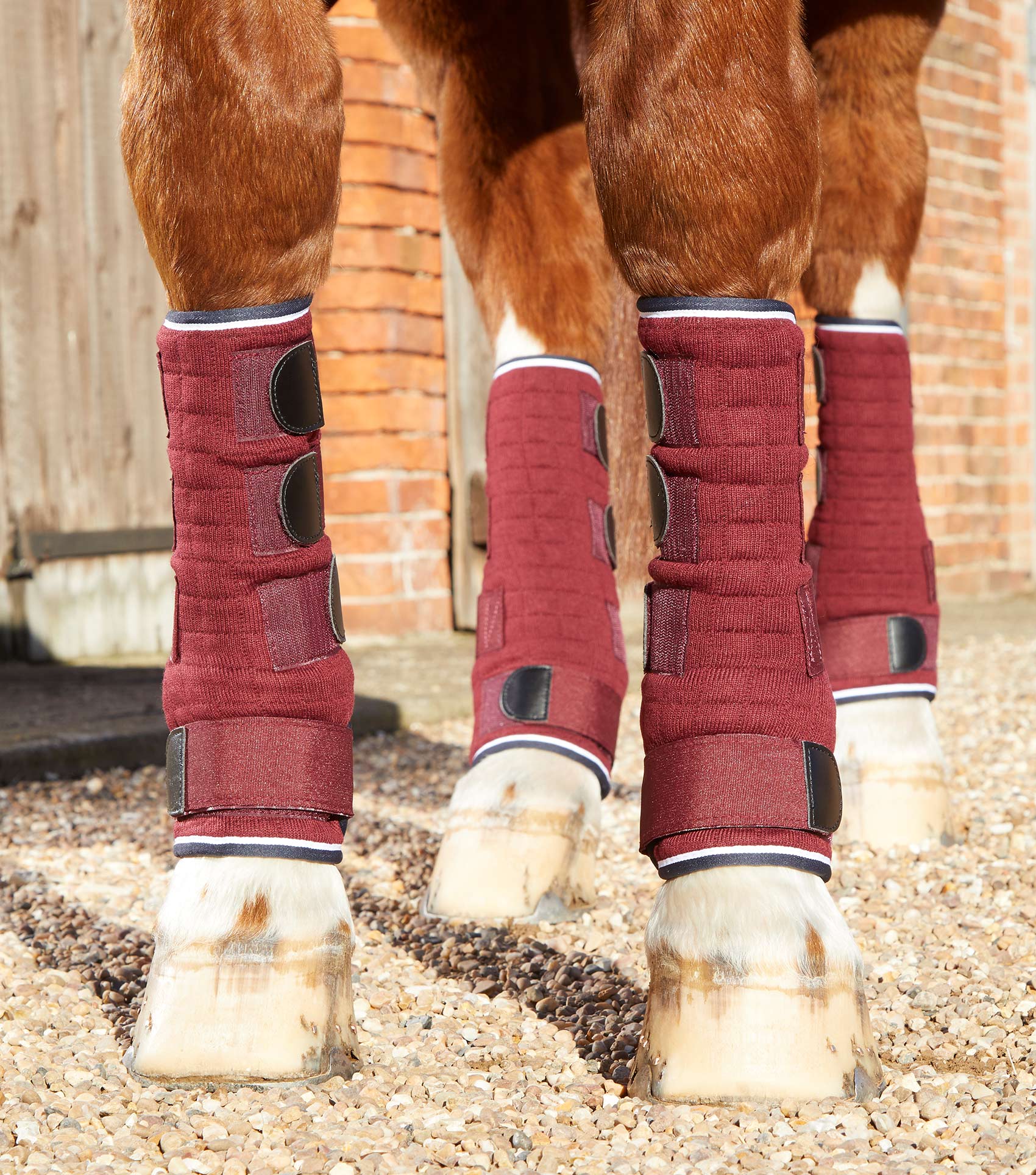 Premier Equine Burgundy Quick Dry Horse Leg Wraps for Cooling & Protection