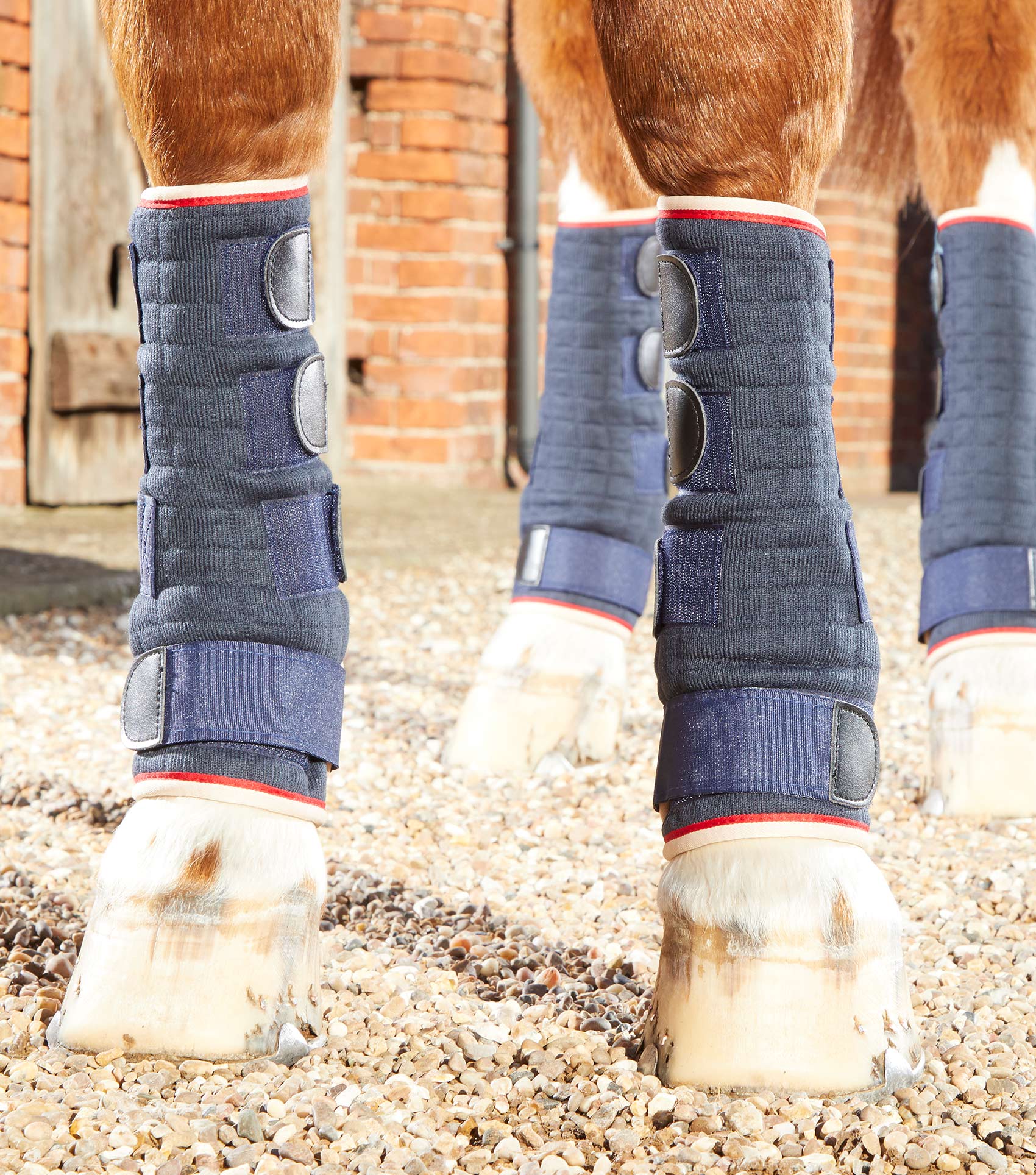 Premier Equine Quick Dry Horse Leg Wraps Navy: Cooling & Support for Equestrian Athletes. #HorseCare #LegProtection