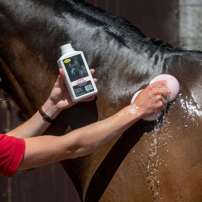 Washing a horse with Smart Grooming Lavender Splosh Wash. Equiflair.