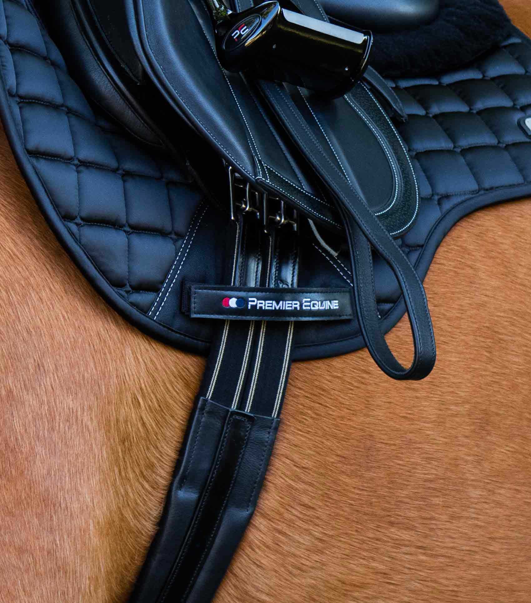 Premier Equine Rapone Leather Girth Black