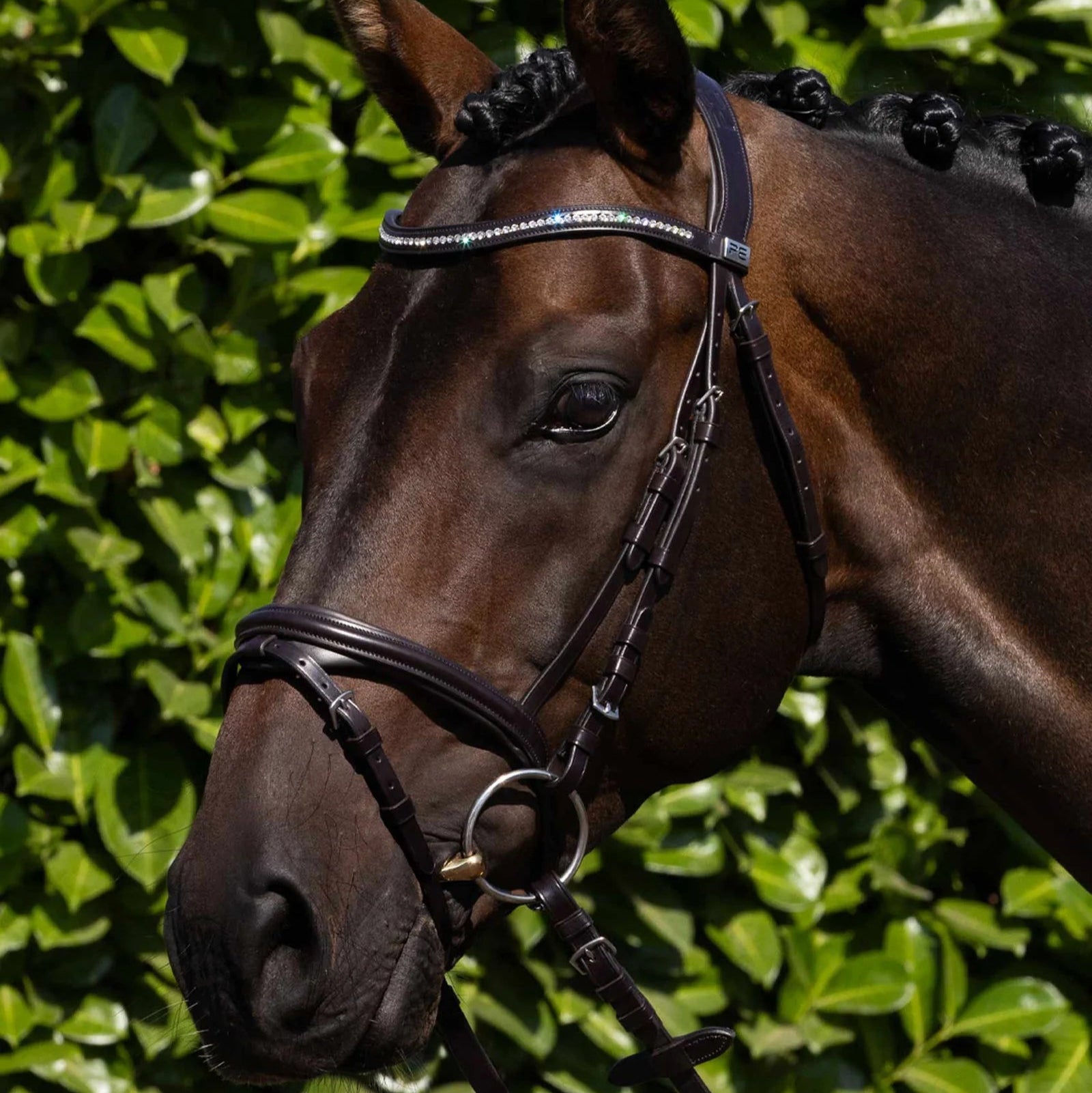 Premier Equine Rivere Snaffle Bridle Brown Leather: Horse bridle with diamanté browband and flash noseband