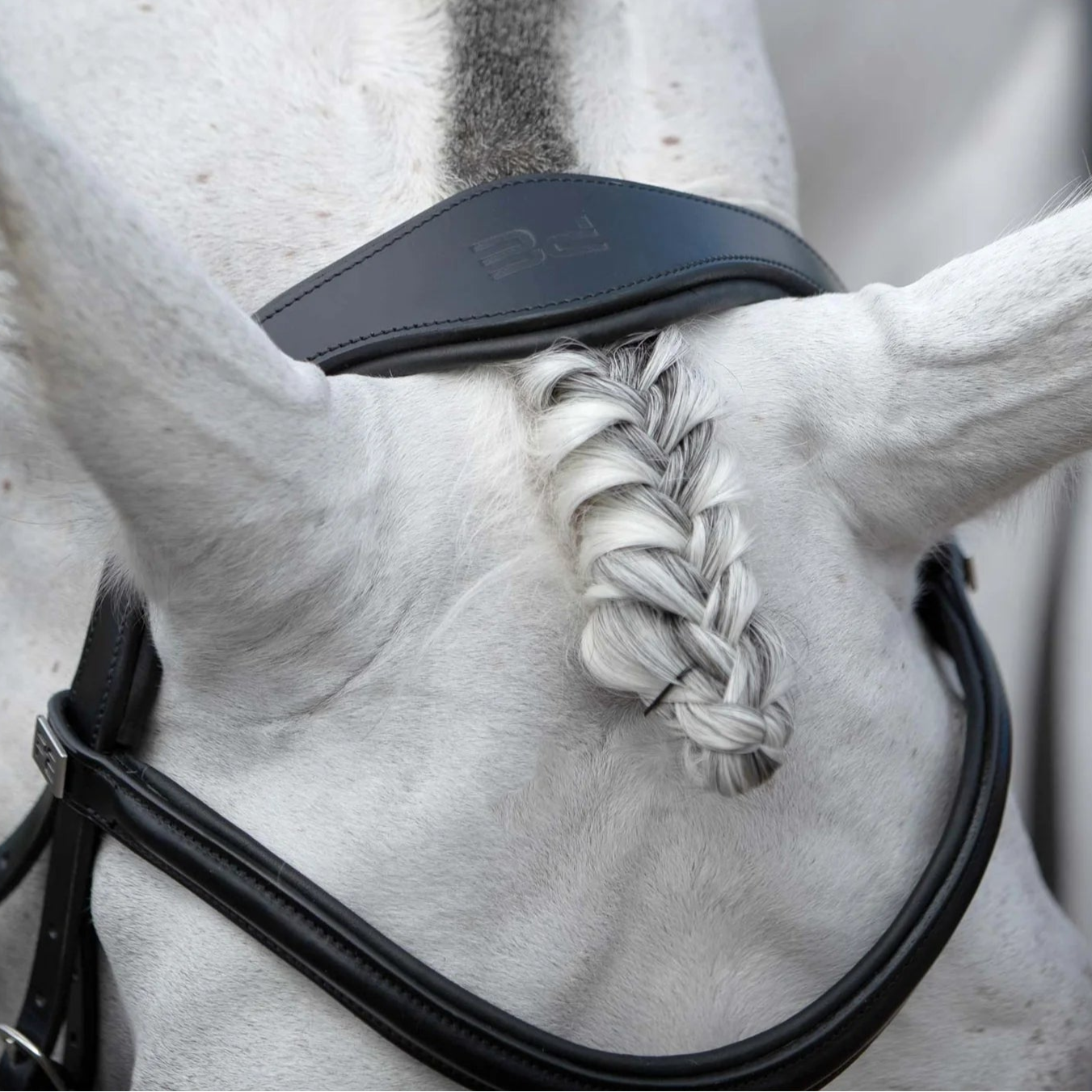 Premier Equine Black Snaffle Bridle on White Horse with Braided Mane | Anatomical, Padded, Italian Leather